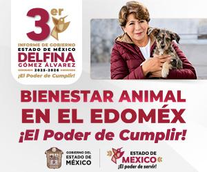 Publicidad